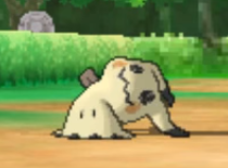 Mimikyu-roto en combate