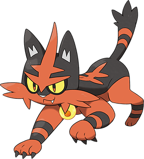 torracat