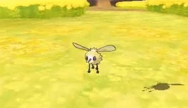 Cutiefly