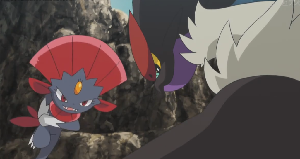 Weavile vs Noivern
